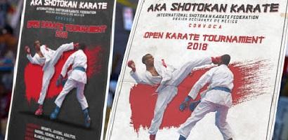 open karate2