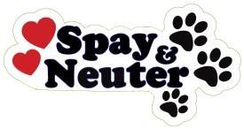Spay-Neuter