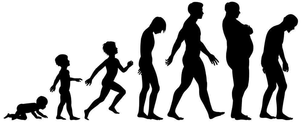 human aging process male