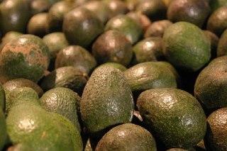 aguacate