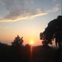 photo thumbnail