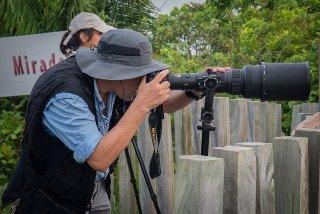 camping-for-whale-photographers