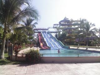 dolphin-aquariums2