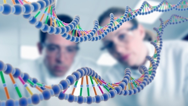 genoma-adn-acido-desoxirribonucleico-gene-vida