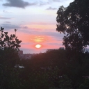 Last nights view