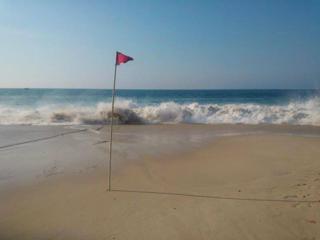 high-wave-alert2