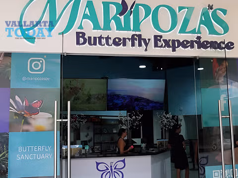 mariposas 2