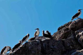 marieta-islands5