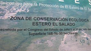 reproduction-in-estuary3