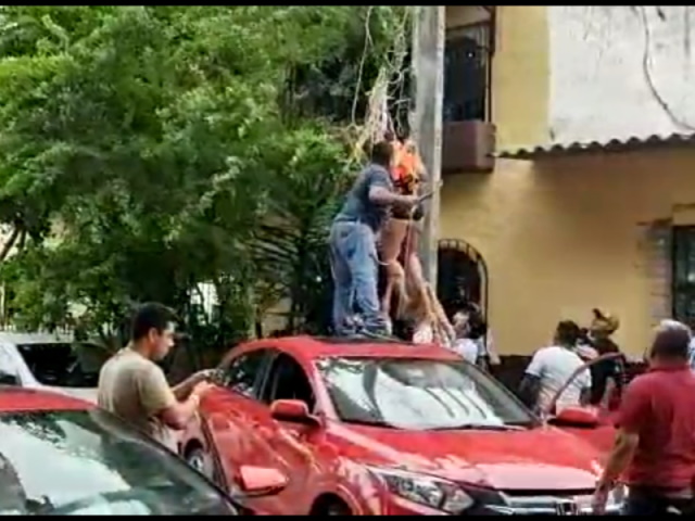 tourist parachuting lands in power lones