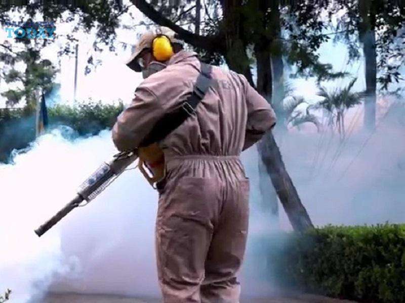 Dengue Is Already In Puerto Vallarta