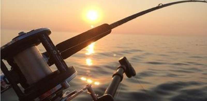 Playa Los Muertos 11th. Fishing Tournament