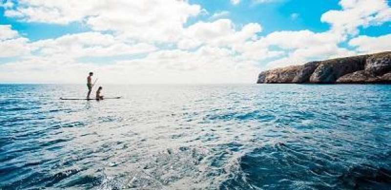 7 Eco-friendly Activities in Mexico’s Pacific Coast You Won’t Want to Miss