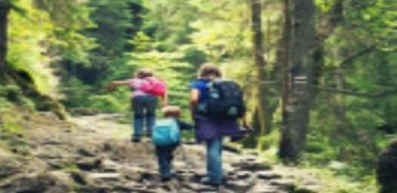 How the Simple Act of Being in Nature Helps You De-Stress