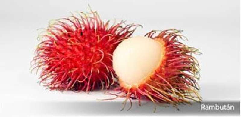 10 Exotic Fruits Of The Riviera Nayarit