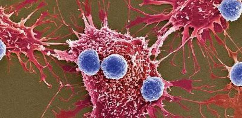 FDA Approves First Gene Therapy For Leukemia