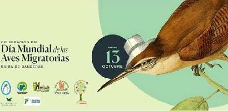 El Día Mundial de las Aves Migratorias se celebrará en Bahía de Banderas