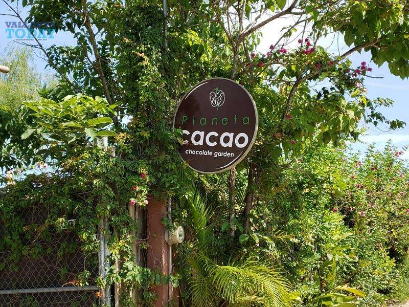 Cocoa Deficit In Mexico