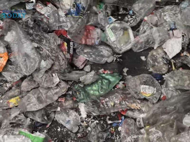 Mega Recycling Collection Event In Puerto Vallarta