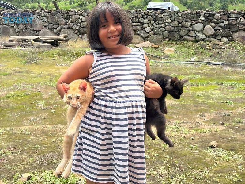 Cats And Their Bond With Children