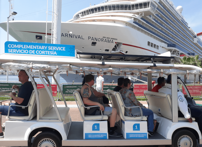 Cruise Ships Agree To Not Sail Until Next Year
