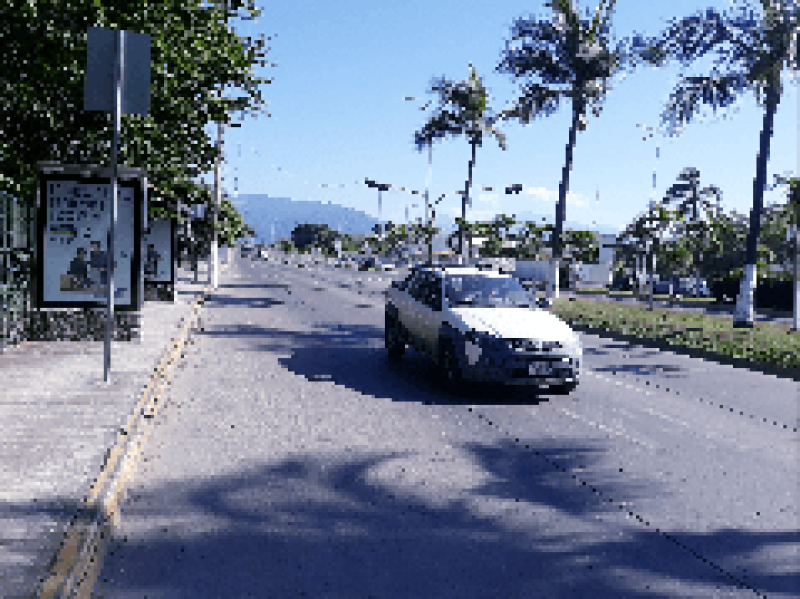 Emergency Button Rules Are Being Followed: Vallarta Complies With Regulations 