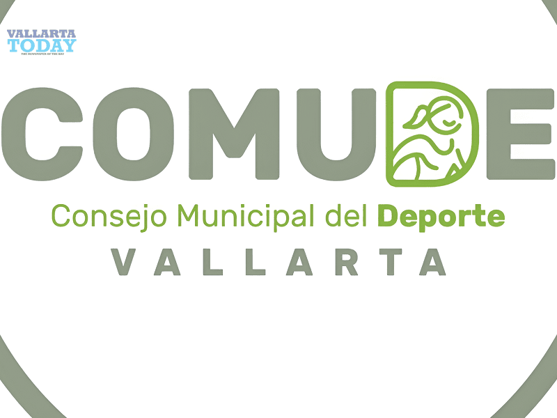 COMUDE Is Looking For Talent.