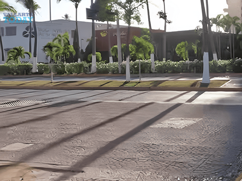 Race For Inclusion In Puerto Vallarta 