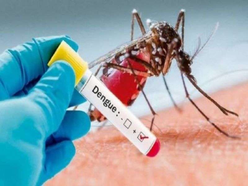 Dengue Cases Continue To Decline In Jalisco