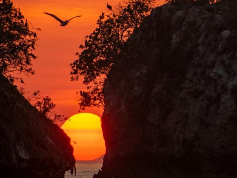 "From Boca To Boca - Visions Of Vallarta"