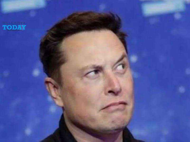 Elon Musk Announces The Purchase Of Twitter