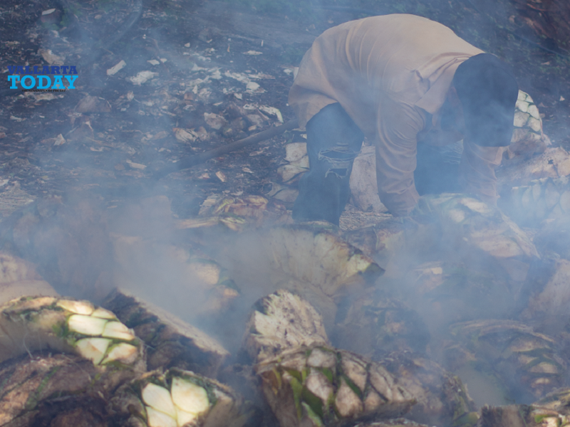 Agave Spirituous And The Landscapes Of Mexico