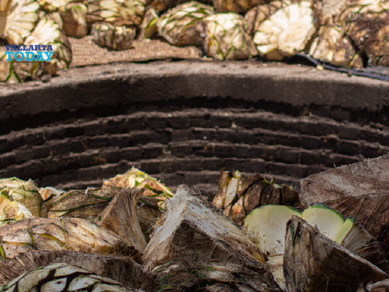 Agave Spirituous And The Landscapes Of Mexico