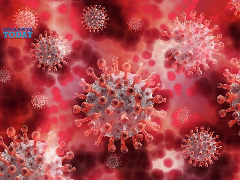 43 Cases Of Covid-19 Reported In Jalisco