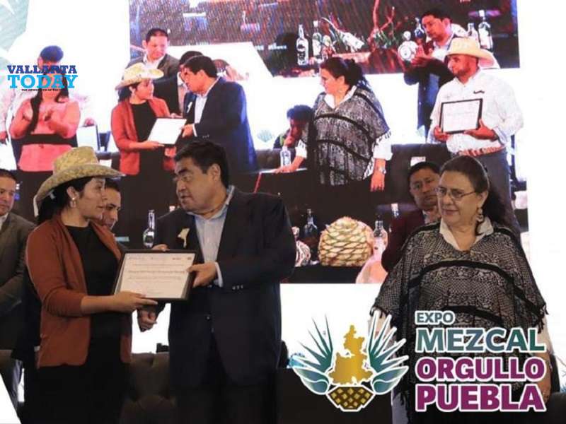 The Mezcal's Women Of Puebla