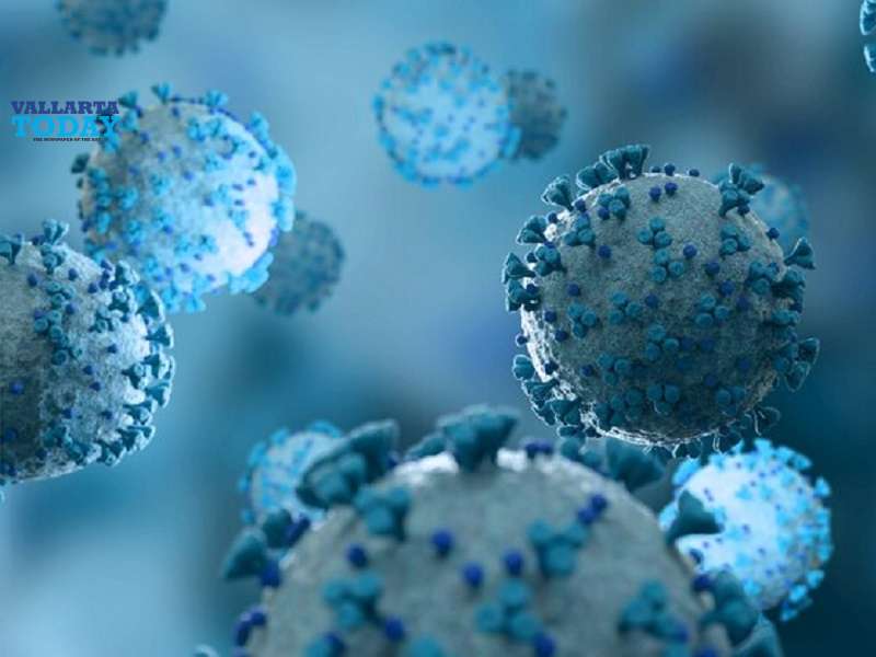 Vaccination Against Covid-19 Concludes In Jalisco