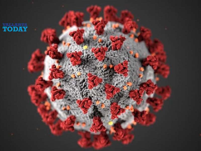 Most Cases Of Covid-19 In Jalisco Classified As Mild