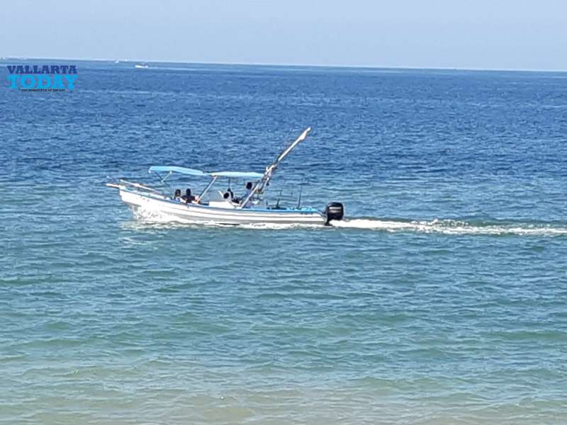 Boats Continue To Run Over Manta Rays