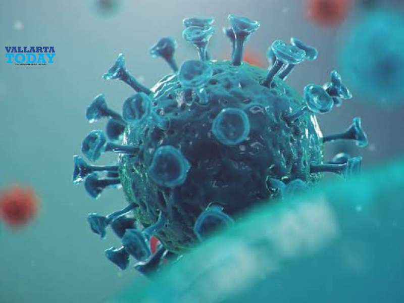 Significant Drop In Covid-19 Infections Reported