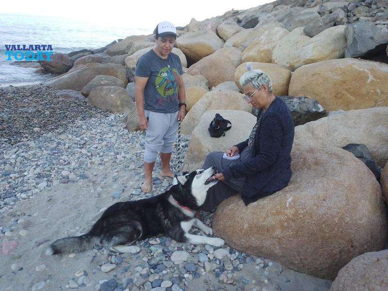 Mexico Protects Animals