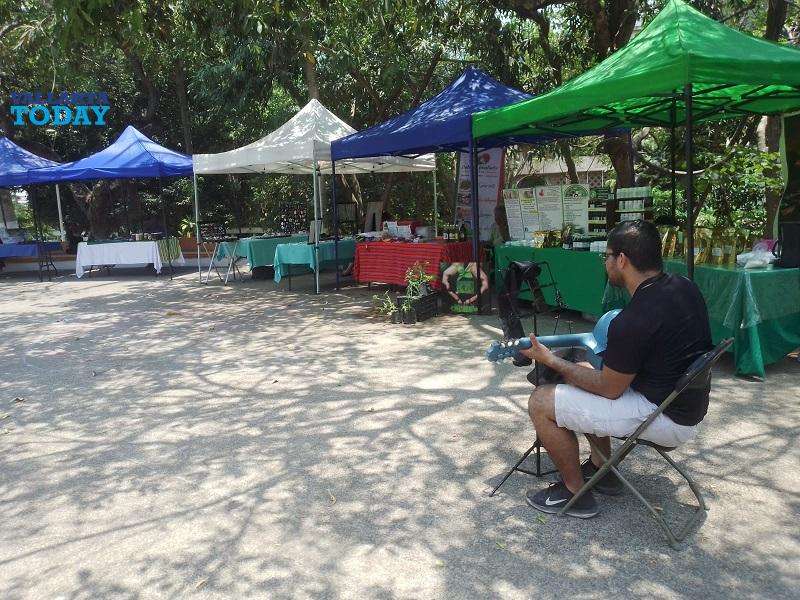 The Friday Market At Cuale A Cultural Tianguis Experience