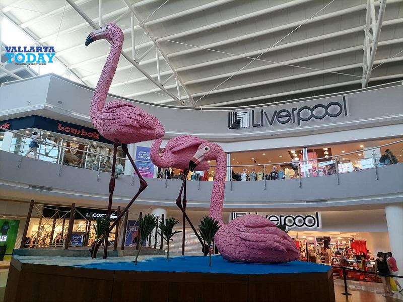 Giant Flamingos At Galerías.