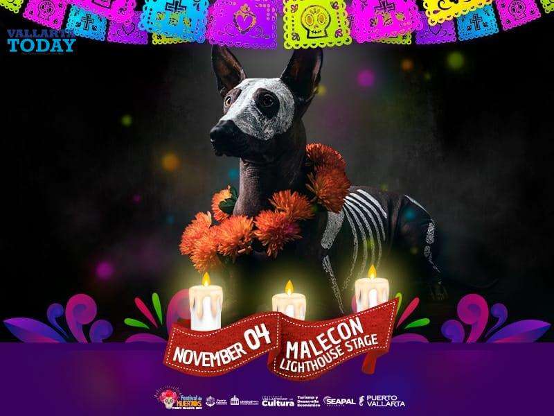 "Catrinas And Catrines Pet Costume Competition"