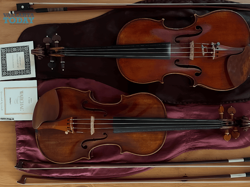 The Violin At The Los Mangos Library.