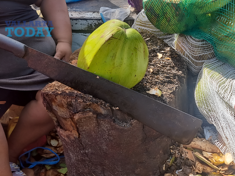 The Benefits Of Fresh Coconut In The Daily Life Of Vallarta Residents