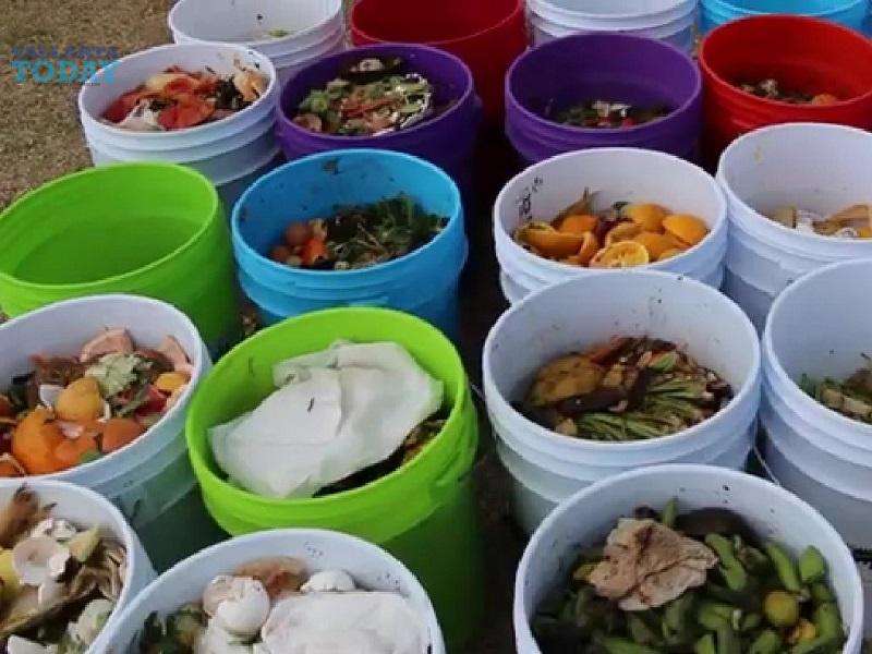 The Importance Of Composting In Puerto Vallarta