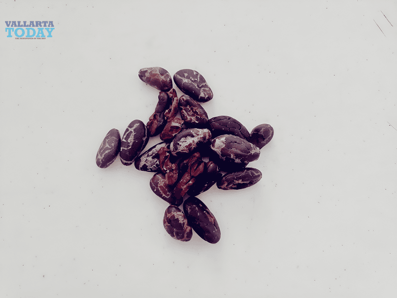 September 13, International Chocolate Day