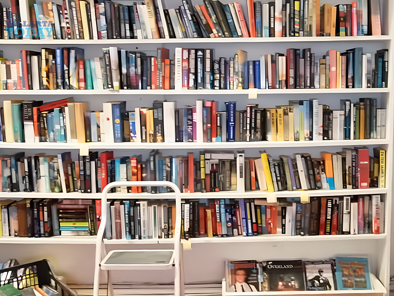 The Best-selling Books In Puerto Vallarta And Their Impact On Local Life