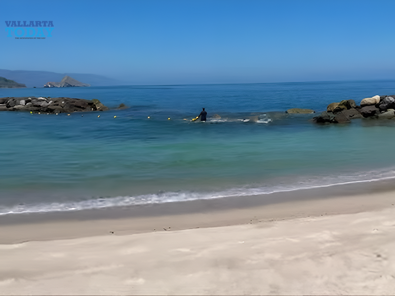 International Coastal Cleanup Day