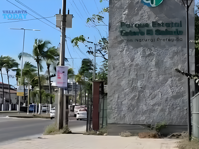 Estero El Salado abrirá sus puertas al ecoturismo en marzo.